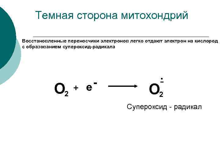Темная сторона митохондрий Восстановленные переносчики электронов легко отдают электрон на кислород с образованием супероксид-радикала