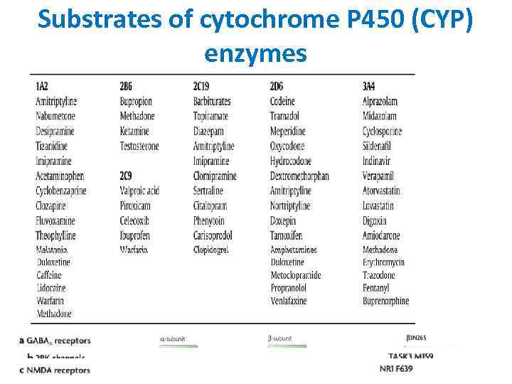 Substrates of cytochrome P 450 (CYP) enzymes 
