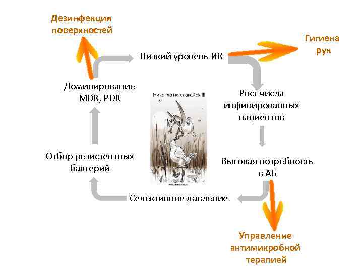 Дезинфекция поверхностей Гигиена рук Низкий уровень ИК Доминирование MDR, PDR Отбор резистентных бактерий Рост