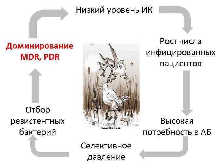 Низкий уровень ИК Рост числа инфицированных пациентов Доминирование MDR, PDR Отбор резистентных бактерий Высокая