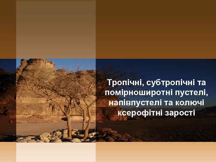 Тропічні, субтропічні та помірноширотні пустелі, напівпустелі та колючі ксерофітні зарості 