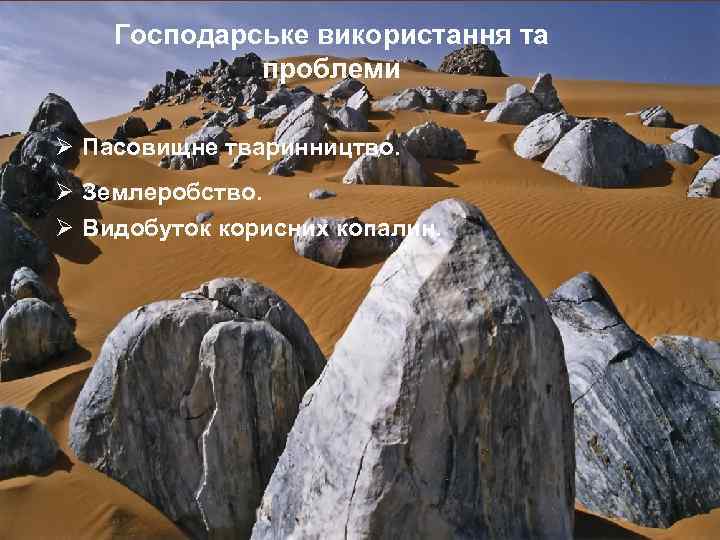Господарське використання та проблеми Ø Пасовищне тваринництво. Ø Землеробство. Ø Видобуток корисних копалин. 