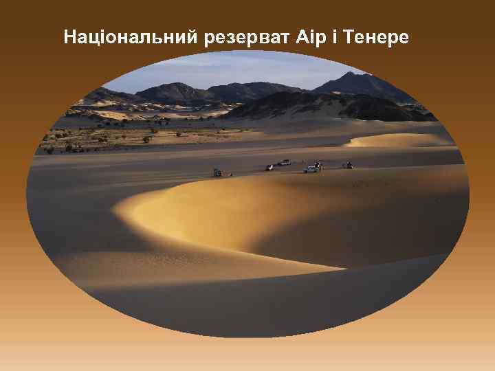 Національний резерват Аір і Тенере 