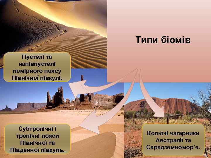 Типи біомів Пустелі та напівпустелі помірного поясу Північної півкулі. Субтропічні і тропічні пояси Північної
