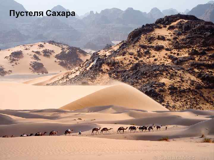 Пустеля Сахара 