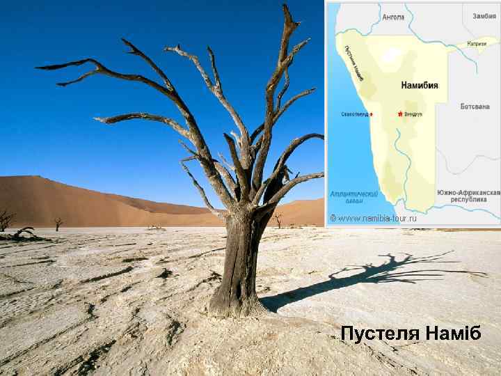 Пустеля Наміб 
