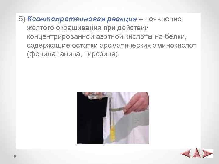 б) Ксантопротеиновая реакция – появление желтого окрашивания при действии концентрированной азотной кислоты на белки,
