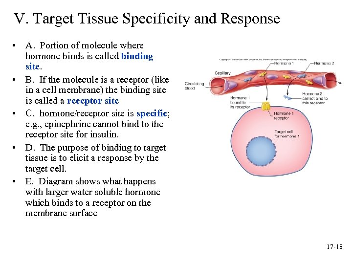 V. Target Tissue Specificity and Response • A. Portion of molecule where hormone binds