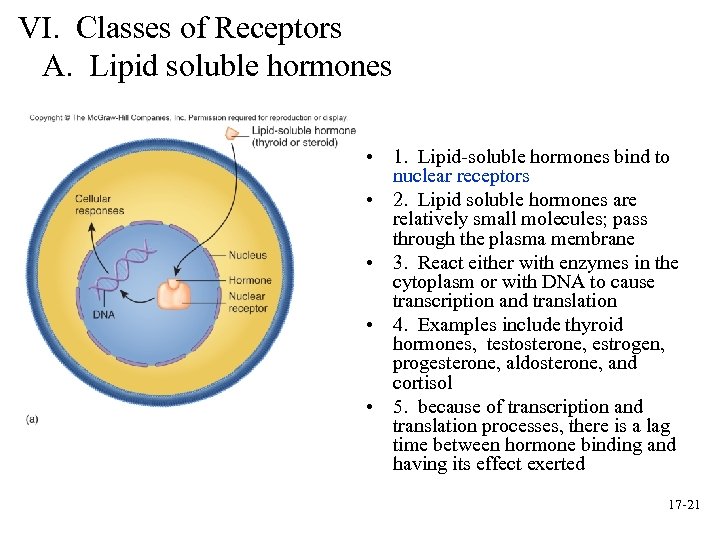 VI. Classes of Receptors A. Lipid soluble hormones • 1. Lipid-soluble hormones bind to