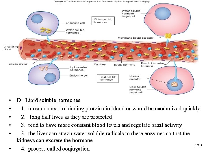  • D. Lipid soluble hormones • 1. must connect to binding proteins in