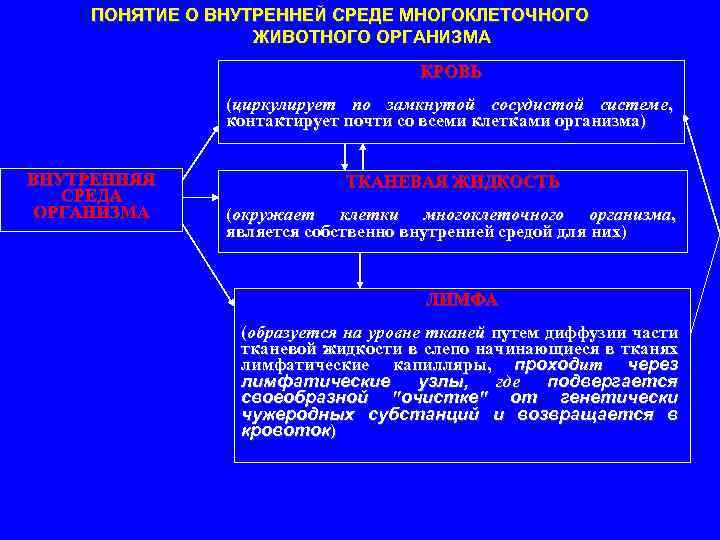 ПОНЯТИЕ О ВНУТРЕННЕЙ СРЕДЕ МНОГОКЛЕТОЧНОГО ЖИВОТНОГО ОРГАНИЗМА КРОВЬ (циркулирует по замкнутой сосудистой системе, контактирует