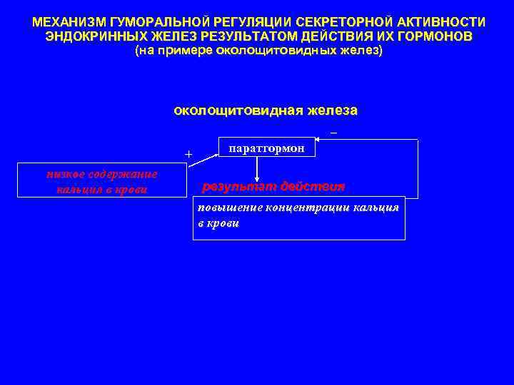 МЕХАНИЗМ ГУМОРАЛЬНОЙ РЕГУЛЯЦИИ СЕКРЕТОРНОЙ АКТИВНОСТИ ЭНДОКРИННЫХ ЖЕЛЕЗ РЕЗУЛЬТАТОМ ДЕЙСТВИЯ ИХ ГОРМОНОВ (на примере околощитовидных