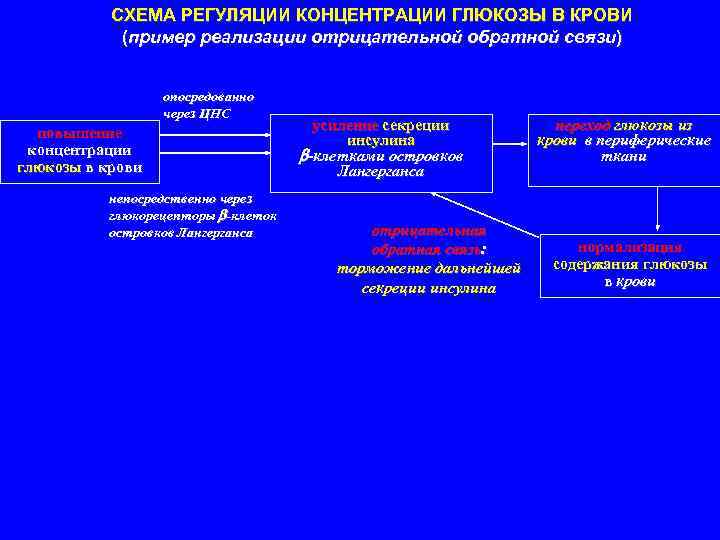 Схема регуляции глюкозы в крови