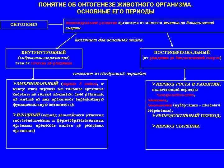 ПОНЯТИЕ ОБ ОНТОГЕНЕЗЕ ЖИВОТНОГО ОРГАНИЗМА. ОСНОВНЫЕ ЕГО ПЕРИОДЫ ОНТОГЕНЕЗ индивидуальное развитие организма от момента