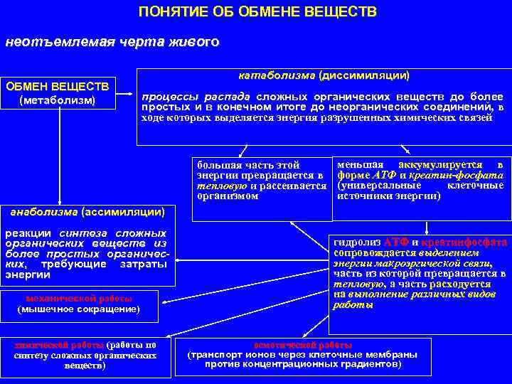 ПОНЯТИЕ ОБ ОБМЕНЕ ВЕЩЕСТВ неотъемлемая черта живого ОБМЕН ВЕЩЕСТВ (метаболизм) катаболизма (диссимиляции) процессы распада