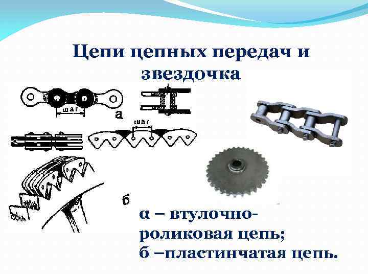 Цепи цепных передач и звездочка α – втулочнороликовая цепь; б –пластинчатая цепь. 