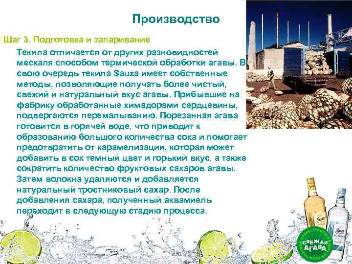 Производство Шаг 3. Подготовка и запаривание Текила отличается от других разновидностей мескаля способом термической