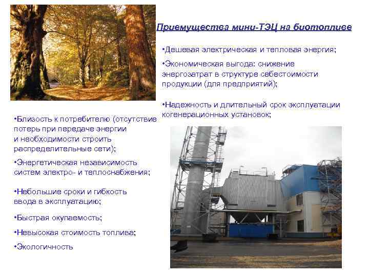 Приемущества мини-ТЭЦ на биотопливе • Дешевая электрическая и тепловая энергия; • Экономическая выгода: снижение