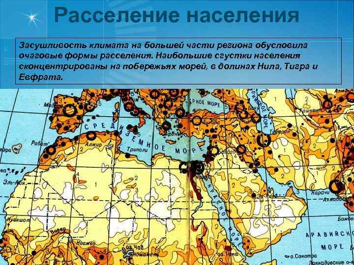 Расселение населения Засушливость климата на большей части региона обусловила очаговые формы расселения. Наибольшие сгустки