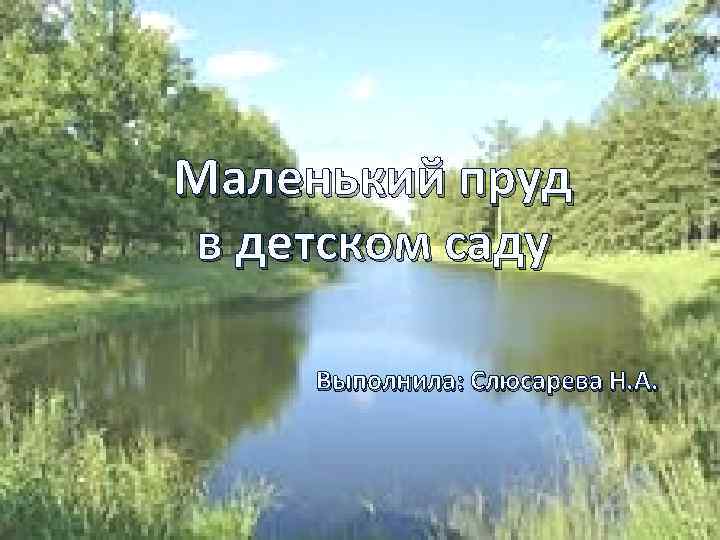 Маленький пруд в детском саду Выполнила: Слюсарева Н. А. 
