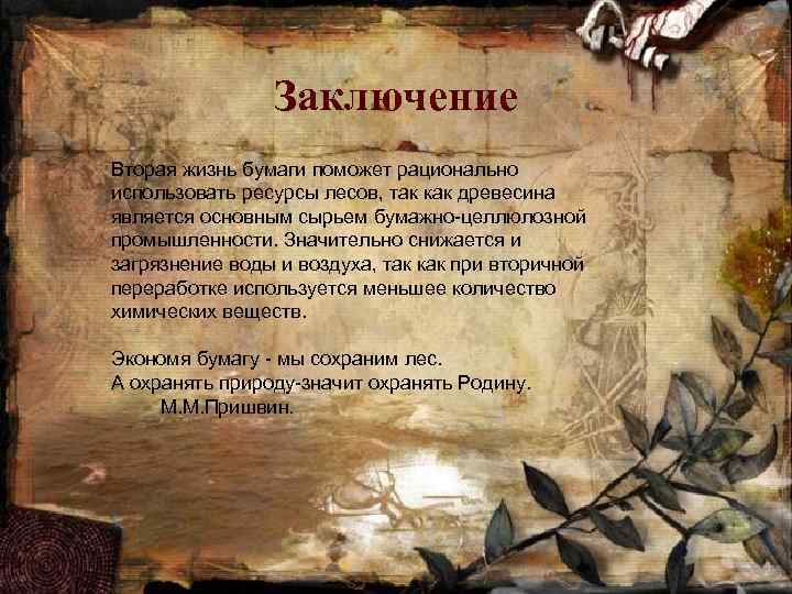 Заключение Вторая жизнь бумаги поможет рационально использовать ресурсы лесов, так как древесина является основным
