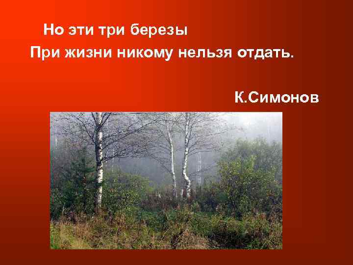Но эти три березы При жизни никому нельзя отдать. К. Симонов 