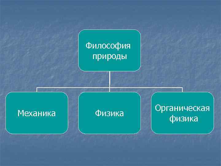 Философия природы Механика Физика Органическая физика 
