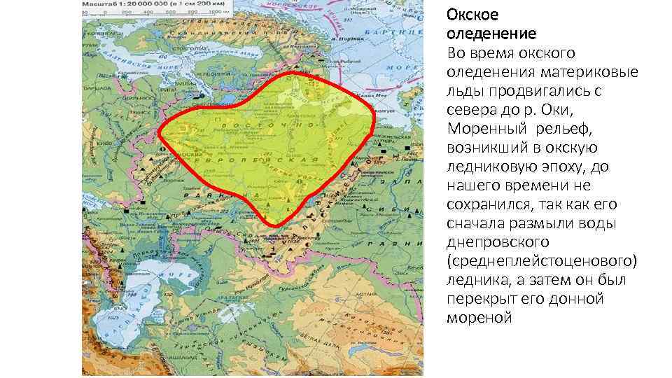 Окское оледенение Во время окского оледенения материковые льды продвигались с севера до р. Оки,