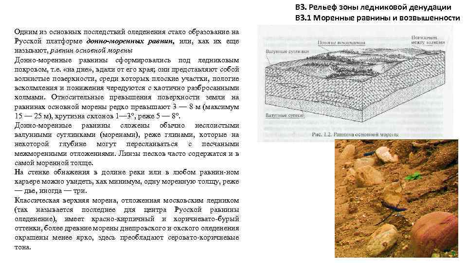 В 3. Рельеф зоны ледниковой денудации В 3. 1 Моренные равнины и возвышенности Одним