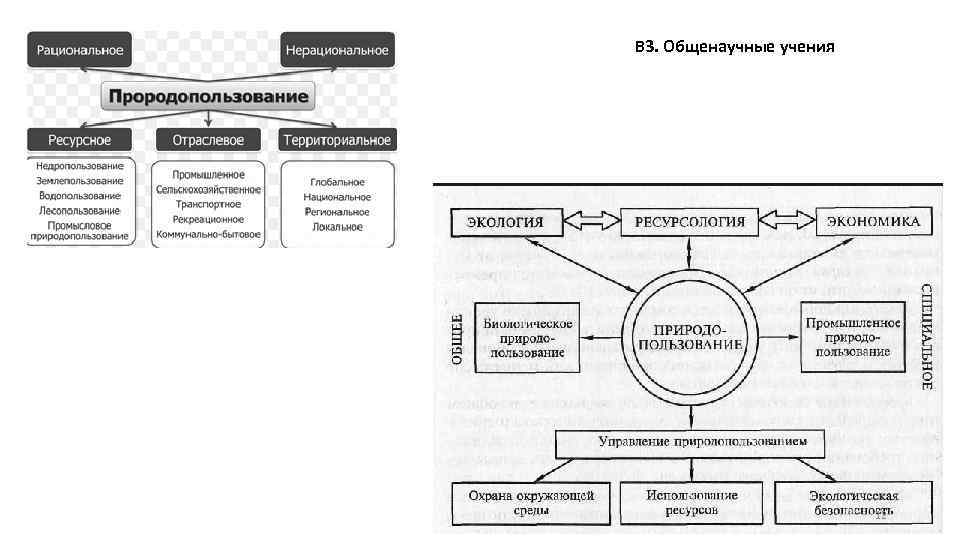 В 3. Общенаучные учения 12 