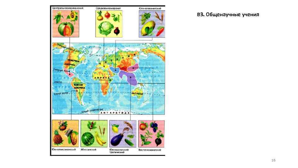 В 3. Общенаучные учения 16 