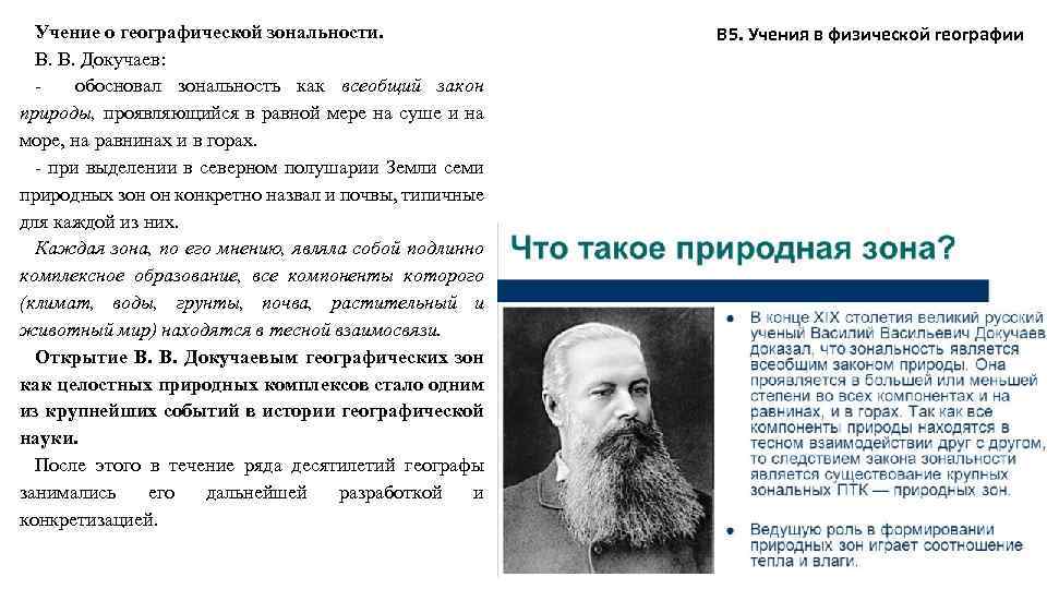 Учение о географической зональности. В. В. Докучаев: обосновал зональность как всеобщий закон природы, проявляющийся