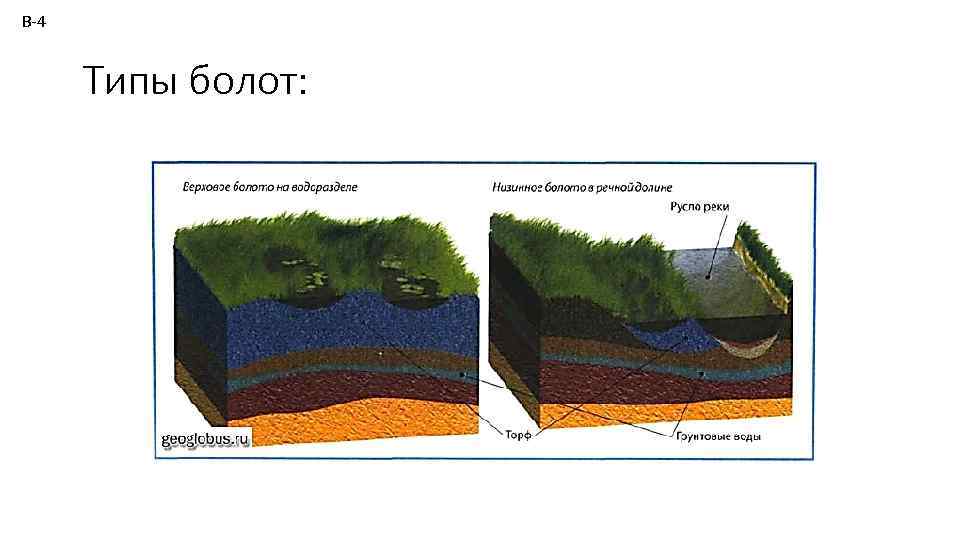 В-4 Типы болот: 