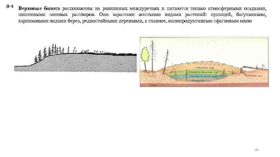 В-4 Верховые болота расположены на равнинных междуречьях и питаются только атмосферными осадками, лишенными солевых