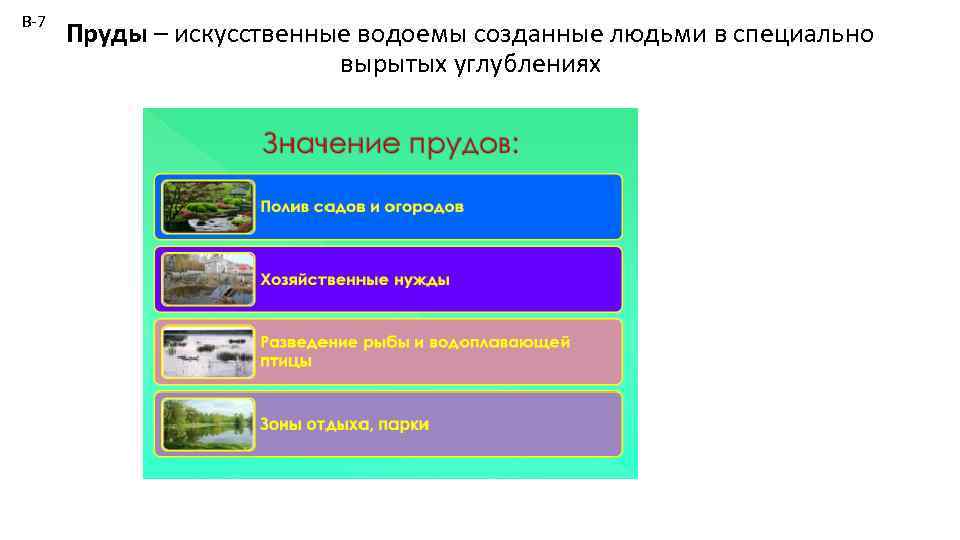 В-7 Пруды – искусственные водоемы созданные людьми в специально вырытых углублениях 