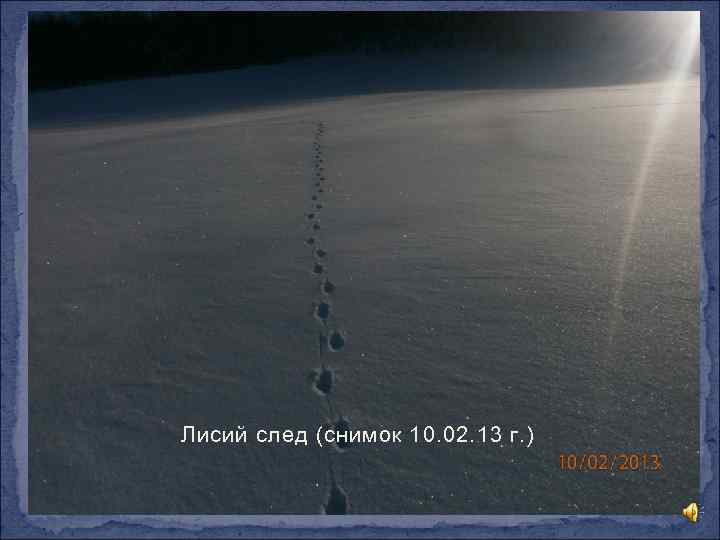 Лисий след (снимок 10. 02. 13 г. ) 