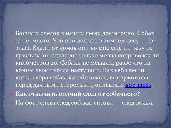  Волчьих следов в наших лесах достаточно. Собак тоже много. Что они делают в
