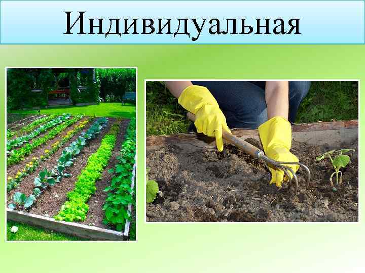 Индивидуальная 