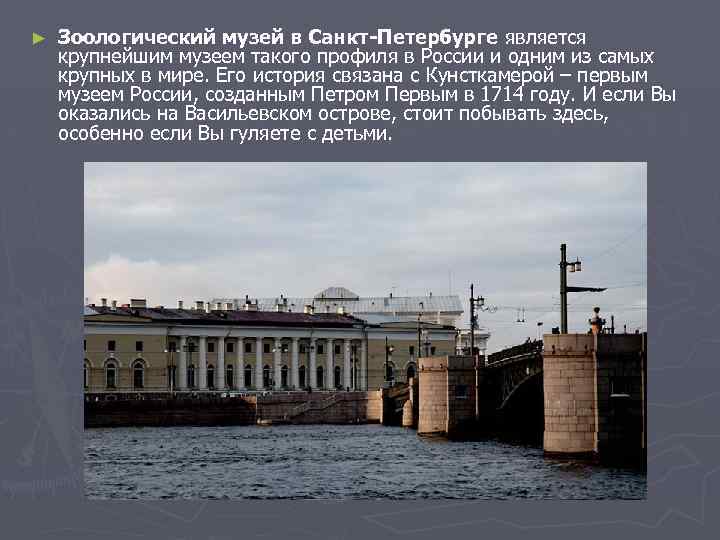 ► Зоологический музей в Санкт-Петербурге является крупнейшим музеем такого профиля в России и одним