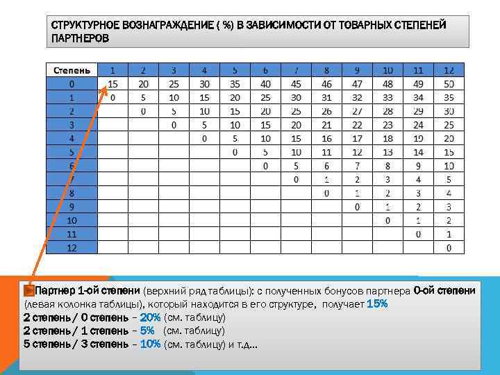 СТРУКТУРНОЕ ВОЗНАГРАЖДЕНИЕ ( %) В ЗАВИСИМОСТИ ОТ ТОВАРНЫХ СТЕПЕНЕЙ ПАРТНЕРОВ Партнер 1 -ой степени