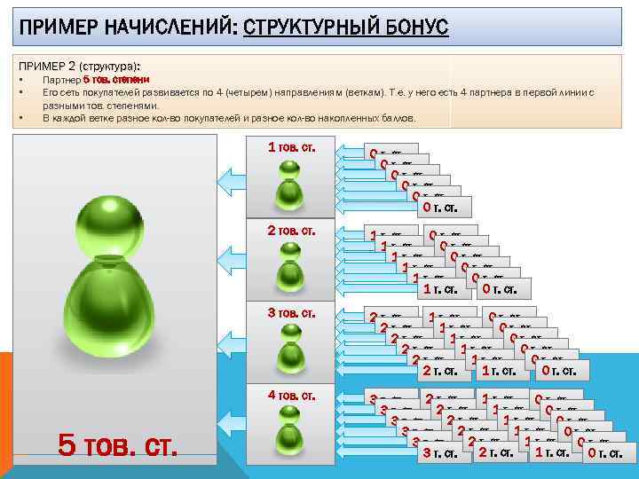 ПРИМЕР НАЧИСЛЕНИЙ: СТРУКТУРНЫЙ БОНУС ПРИМЕР 2 (структура): • • • Партнер 5 тов. степени