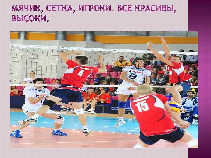 МЯЧИК, СЕТКА, ИГРОКИ. ВСЕ КРАСИВЫ, ВЫСОКИ. 