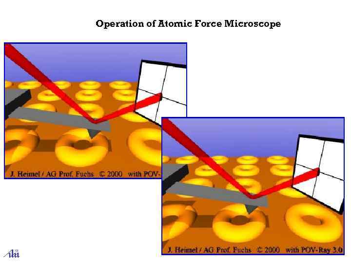 Operation of Atomic Force Microscope 