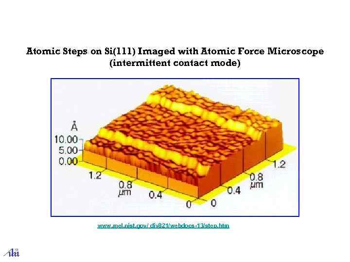Atomic Steps on Si(111) Imaged with Atomic Force Microscope (intermittent contact mode) www. mel.