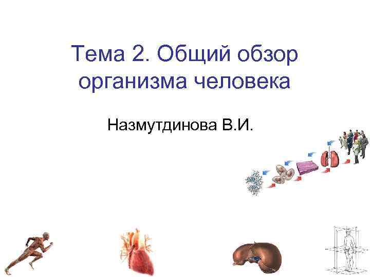 Тема 2. Общий обзор организма человека Назмутдинова В. И. 
