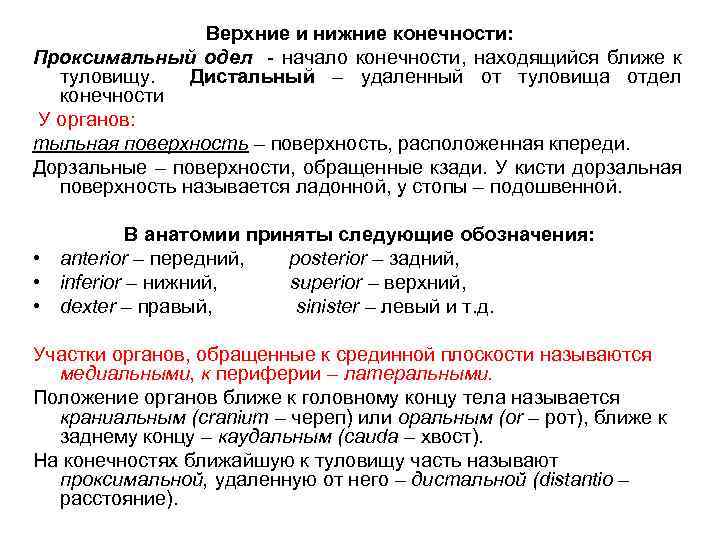 Верхние и нижние конечности: Проксимальный одел - начало конечности, находящийся ближе к туловищу. Дистальный