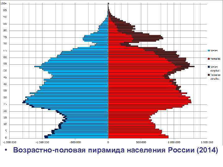  • Возрастно-половая пирамида населения России (2014) 
