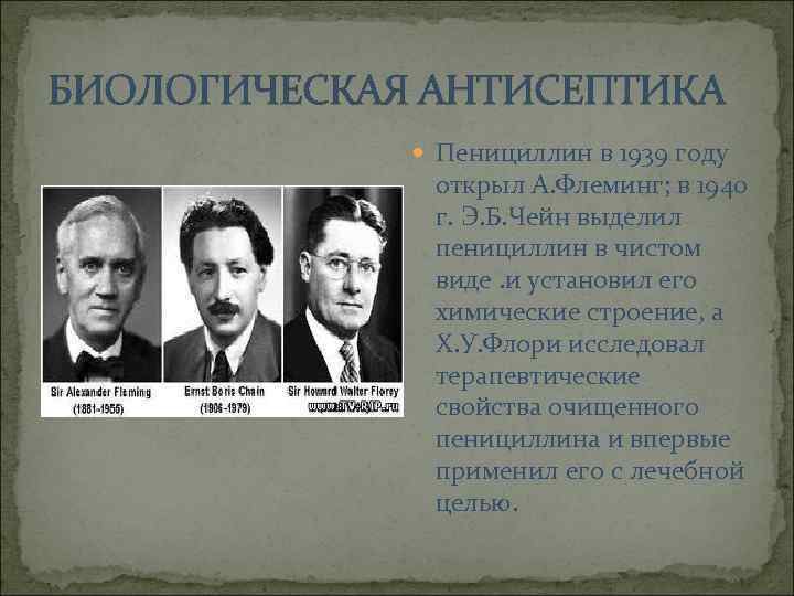 БИОЛОГИЧЕСКАЯ АНТИСЕПТИКА Пенициллин в 1939 году открыл А. Флеминг; в 1940 г. Э. Б.