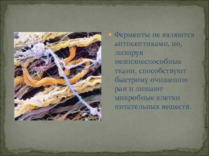  Ферменты не являются антисептиками, но, лизируя нежизнеспособные ткани, способствуют быстрому очищению ран и