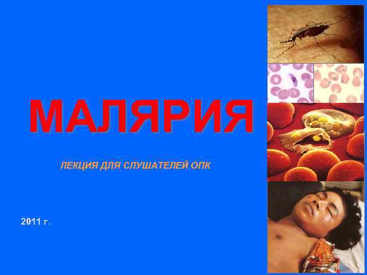 МАЛЯРИЯ ЛЕКЦИЯ ДЛЯ СЛУШАТЕЛЕЙ ОПК 2011 г. 